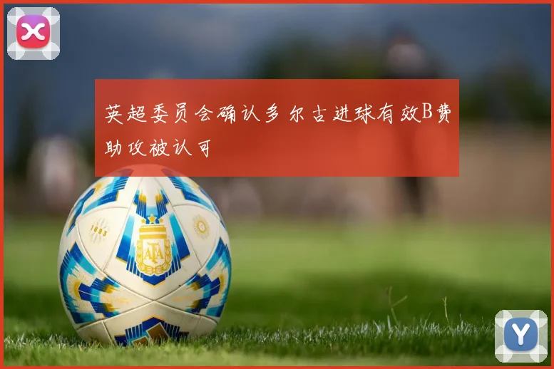 英超委员会确认多尔古进球有效B费助攻被认可