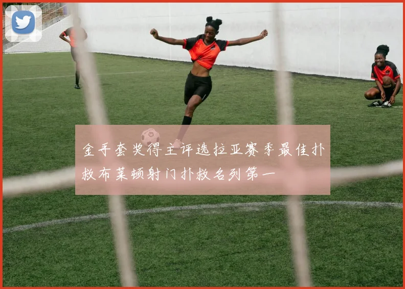 金手套奖得主评选拉亚赛季最佳扑救布莱顿射门扑救名列第一
