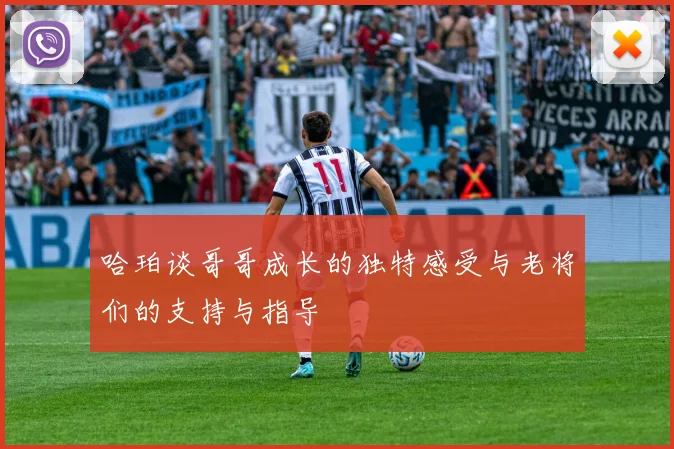 哈珀谈哥哥成长的独特感受与老将们的支持与指导